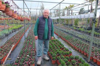Burhaniye’de emekli bankacı 500 çeşit bitki yetiştirdi