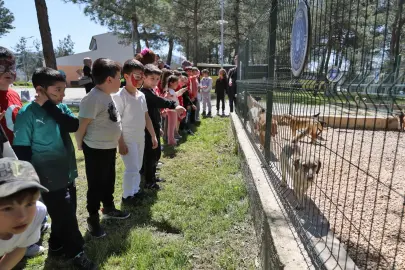 Bursa'da çocuklar patili dostlarla buluştu