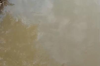 Bursa’da deredeki su samuru şaşırttı