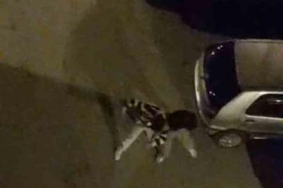 Bursa’da sokak ortasında boks ringlerini aratmayan kavga kamerada