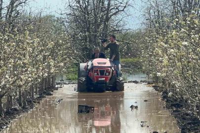 Bursa’da yüzlerce dönüm şeftali ve armut bahçesi su altında