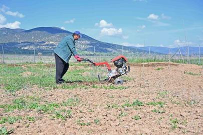 Büyükşehir ipek böceği yetiştiriciliğini yaygınlaştırıyor