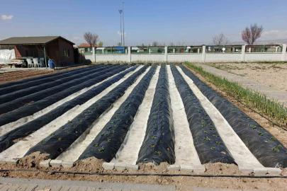 Büyükşehirin Doğal Ürünler Bahçesi ve Pazarı’nda yeni sezon hazırlığı