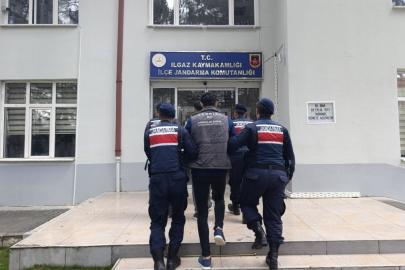 Çankırı’da büyükbaş hayvan çalan şahıslar tutuklandı