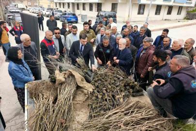 Çemişgezek’te vatandaşlara ücretsiz fidan dağıtıldı