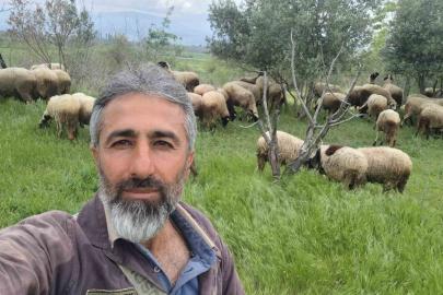 Çeşme sakızı ile Fransız koçunu birleştirdi, verimi katladı