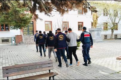 Çobanları hamama götürüp oyaladılar, 36 büyükbaş hayvanı çaldılar