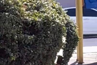 Çocuk parkı içinde sigara içen çocuklar kamerada