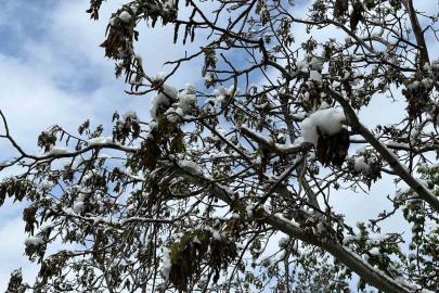 Çorum için zirai don uyarısı