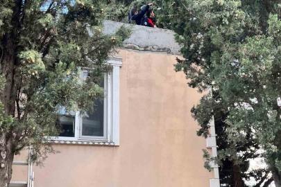 Defne’de ağaçta mahsur kalan kediyi itfaiye kurtardı