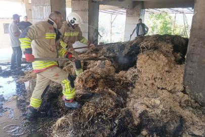 Defne’de samanlık yangını