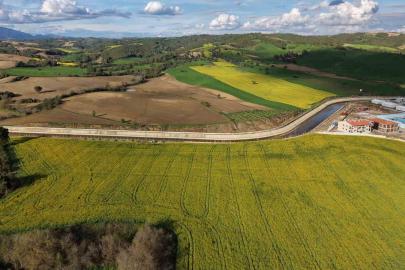Devlet destekli kanola üretimi Adanalı çiftçinin yüzünü güldürdü