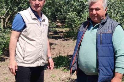 Didim’de zeytin üreticilerine zararlı uyarısı
