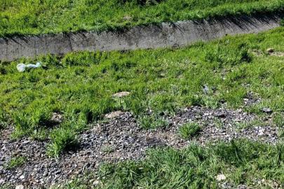 Diyarbakır’da trafik kazası: 1’i ağır 4 yaralı