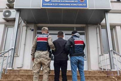 Dolandırıcılık suçundan aranan şahıs yakalandı