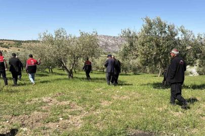 Dolu sonrası hasar tespit çalışmaları başladı