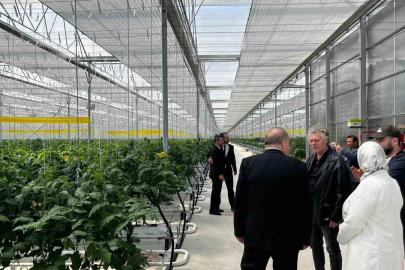 Düzce’den Seracılık İhtisas Organize Tarım Bölgesi’nde inceleme