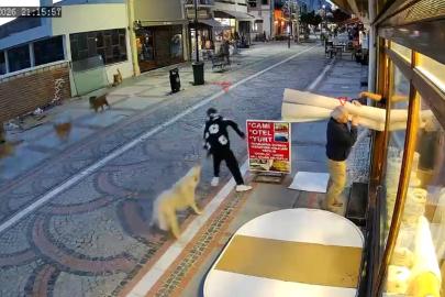 Edirne’de başıboş köpek saldırısı: 19 yaşındaki genç yaralandı