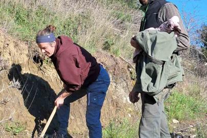 Edremit’te Kazdağı Bal Ormanına uluslararası ilgi