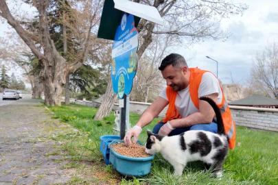 Elazığ’da sokak hayvanlarına mama desteği sürüyor