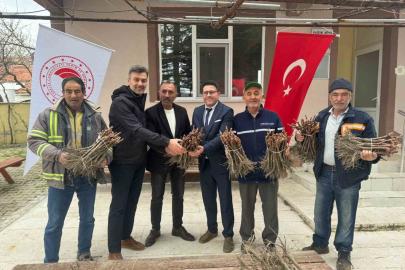 Emet’te 35 üreticiye 980 adet üzüm fidanı dağıtıldı