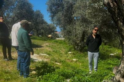 Endemik Tülüşah için inceleme yaptılar