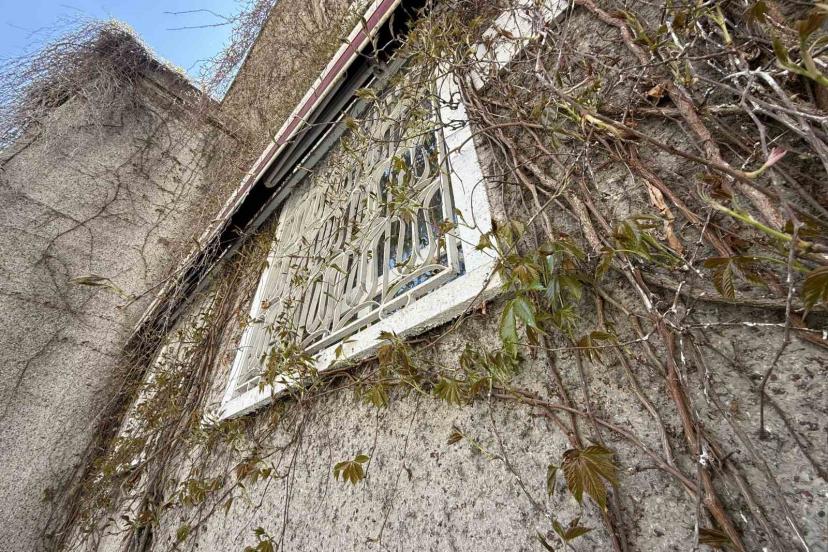 Eskişehir’de ‘Sarmaşıklı Camii’nin dış cephesi yeşermeye başladı