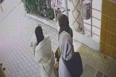 Ev fareleri kameraya yakalandı