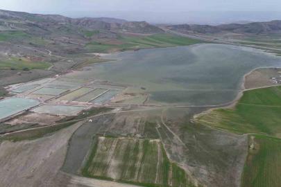 Göçmen kuşların uğrak mekanı, son yağışlarla doldu taştı