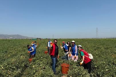 Gönüllü Hasat Etkinliği 2026 yılı takvimi açıklandı