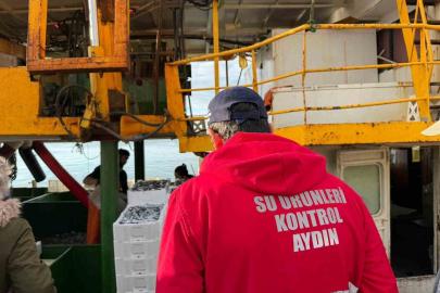 Hamsi kotası için Didim’de denetim yapıldı