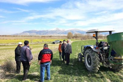 Haşhaş ve hububatta hastalık ve zararlı kontrolleri başladı