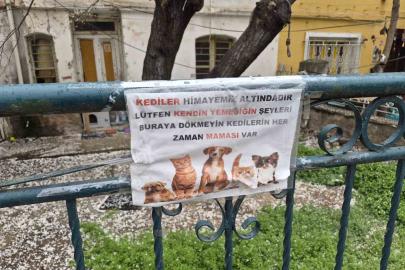 Hayvanseverlerin ilginç yazısı: "Kediler himayemiz altındadır"