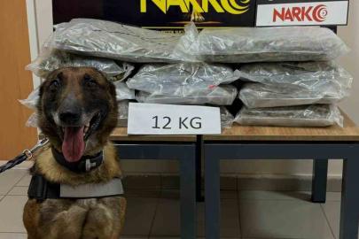 İstanbul’dan Ankara’ya uyuşturucu götürüyordu, Düzce’de yakalandı