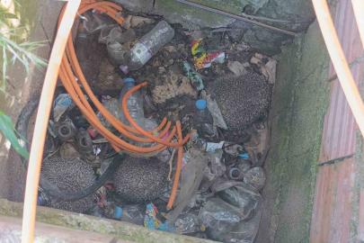 İtfaiyeden rögarda üç kirpi, bacada serçe mesaisi