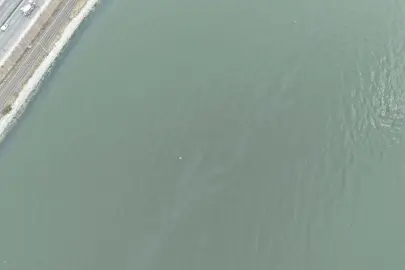 İzmir Körfezi’nde kirlilik endişelendiriyor! Aynı tehdit 11. kez görüldü