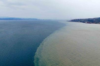 İzmit Körfezi iki renk oldu: Derenin taşıdığı çamur denizin rengini değiştirdi