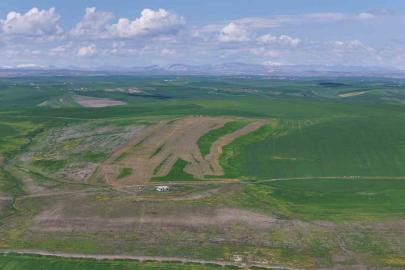 Jandarma eşliğinde ektiği 250 dönüm tarla iddiaya göre akrabaları tarafından ilaçlanarak kurutuldu