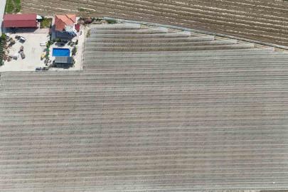 Kadın girişimciden tarımda akılcı çözüm