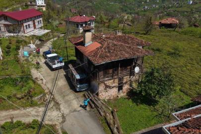 Kahverengi kokarcaya karşı kışlaklardan çıkış öncesi ilaçlama hız kazandı