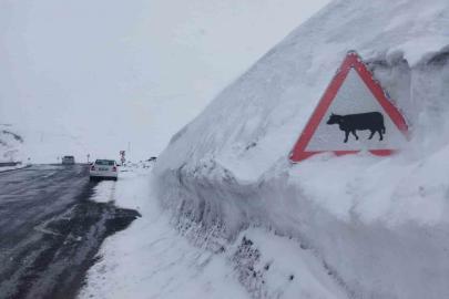 Kar kalınlığı tabela boyunu geçti