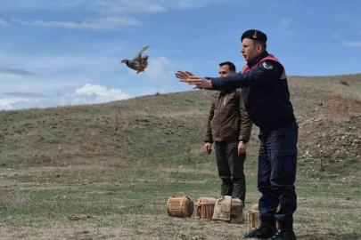 Kars’ta kaçak avcılara darbe: 51 canlı keklik doğaya kazandırıldı