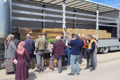 Kastamonu’da çiftçilere 147 bin adet sebze fidesi dağıtıldı