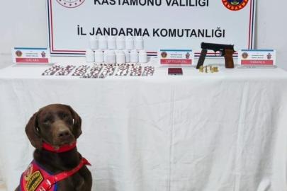 Kastamonu’da uyuşturucu operasyonu: 1 tutuklama