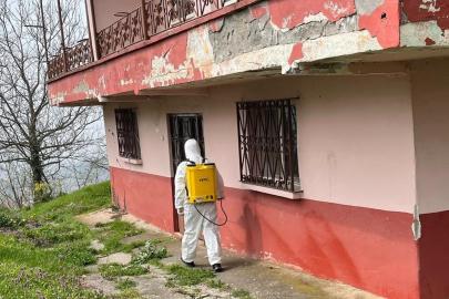 Kaynaşlı ve Yığılca’da Kahverengi Kokarcayla mücadele sürüyor