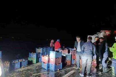 Kazada çevreye dağılan elmaları köy sakinleri topladı