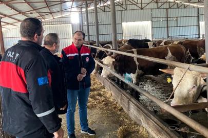 Kırklareli’nde besi çiftliği kontrolleri devam ediyor