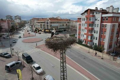 Konya’nın leylekleri direkteki yuvalarına geldi