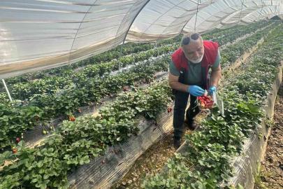 Köşk’ten Sultanhisar’a çapraz denetim