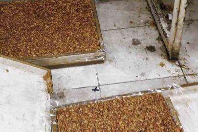 Kötü koku üzerine girilen evde mide bulandıran şartlarda lokum ve cezerye üretildiği ortaya çıktı